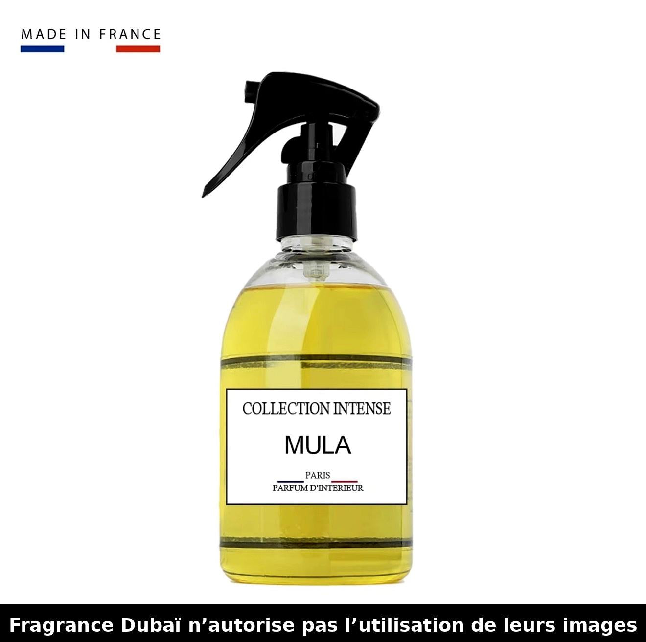 Parfum d’ambiance Fragrance Dubaï 250ml – Collection gourmande & orientale